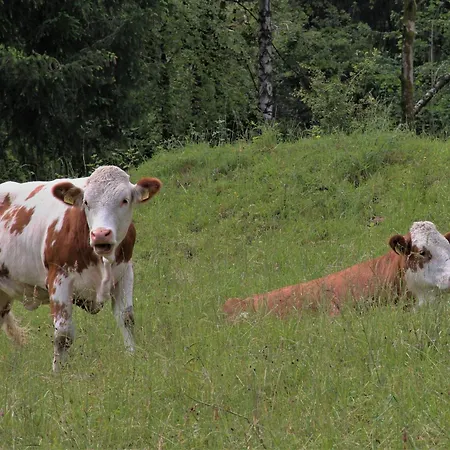 Bocksleitnerhof Alojamento de Turismo Rural Wackersberg