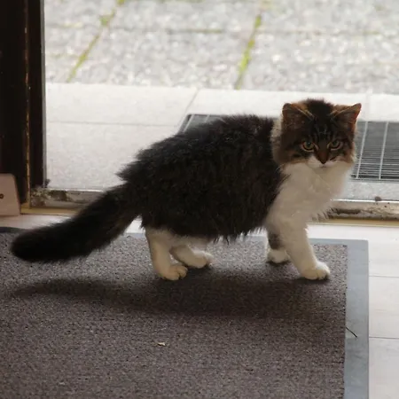 Alojamento de Turismo Rural Bocksleitnerhof