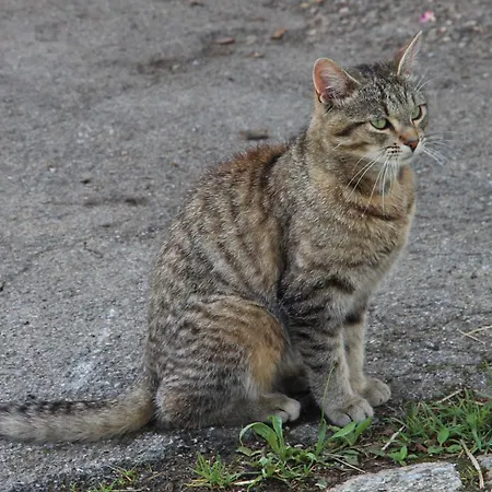 Bocksleitnerhof Wackersberg